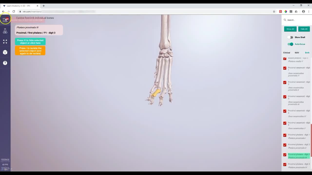 Canine forelimb bones - 3D Veterinary Anatomy & Learning IVALA