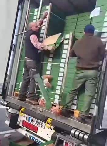 Farmers across the World resist the Globalists.