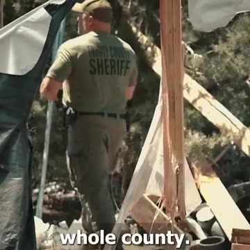 Here's how cartels are taking over rural California