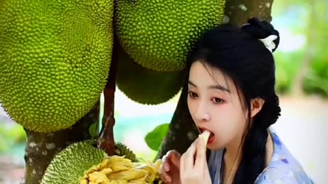 Amazing Jackfruit tree and harvesting