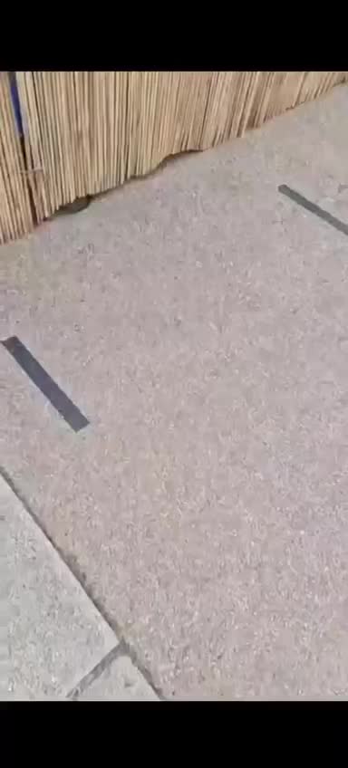 French posters show the DATE PRINTED!!!