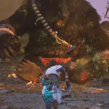 A THORN IN A BEARS FOOT