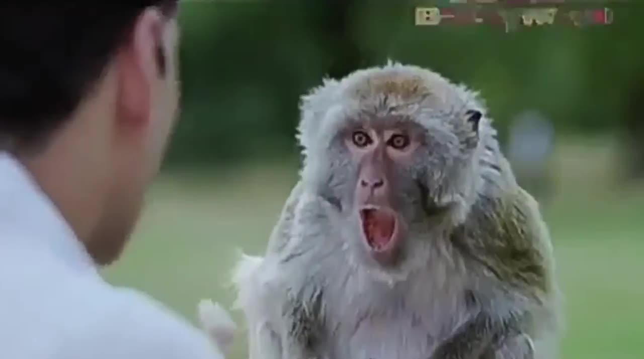 Akshay kumar best comedy Scene _ Best Funny WhatsApp status video
