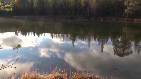 SERENE VIEW OF NATURE