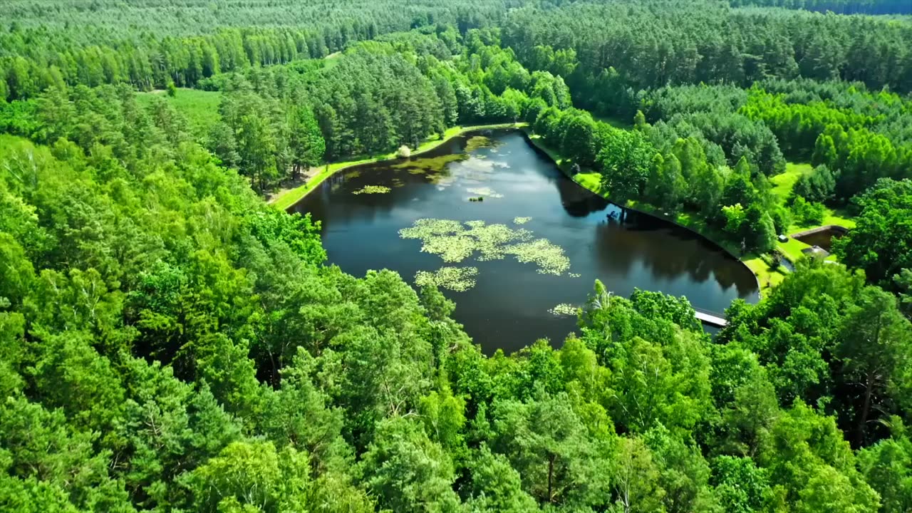 Fishing for 10lb Bass in HIDDEN Pond!