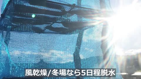 今天给大家演示一下怎么分割三鮭のアラでサーモンジャーキーからの燻製鮭フレーク：作り方レシピ文鱼今日は鮭の切り分け方を紹介します #寿司 #刀工