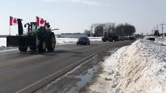 Trudeau's Draconian Measures Ignites Dissent | Teviotdale, Ontario Convoys for Freedom