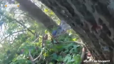 ‼️Ukrainian special forces filmed a shooting battle in the Liman direction, in which they died.
