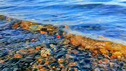 How blue the water is and how beautiful the sky is