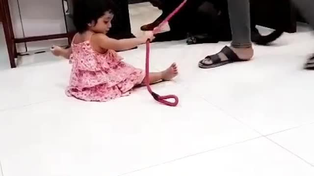 Aggressive Rottweiler playing with baby