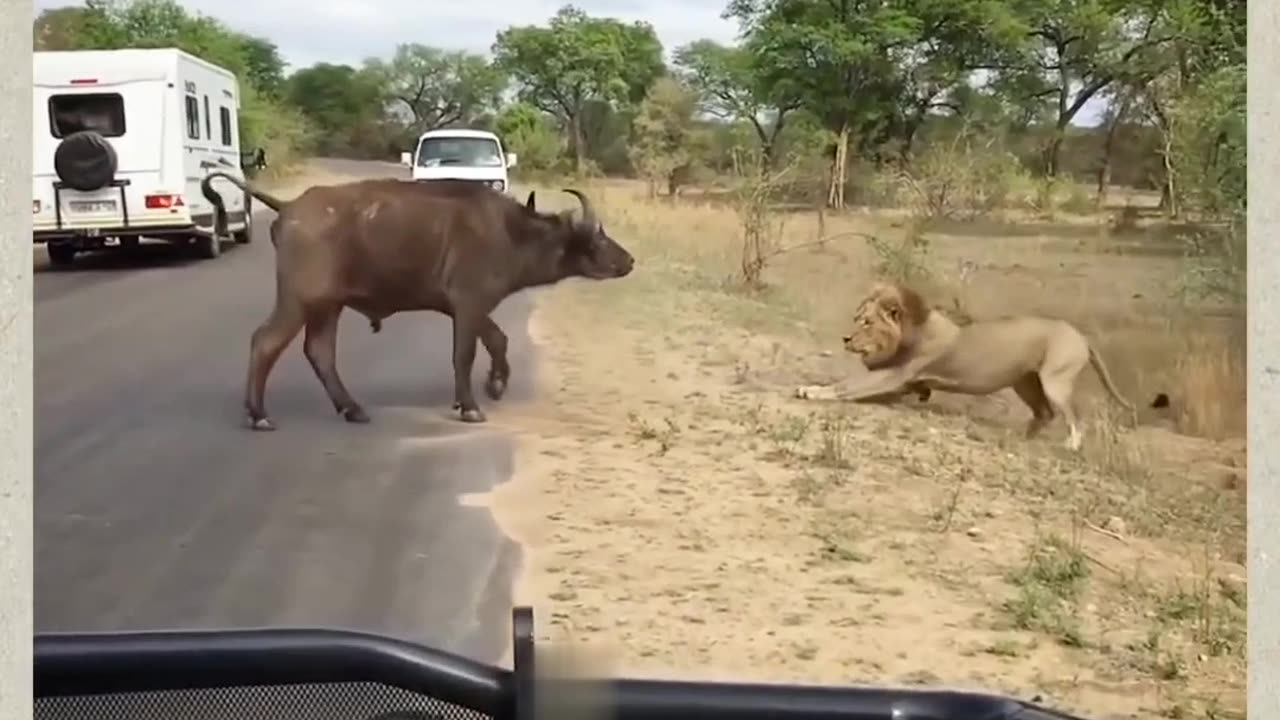 Life begins when fear ends