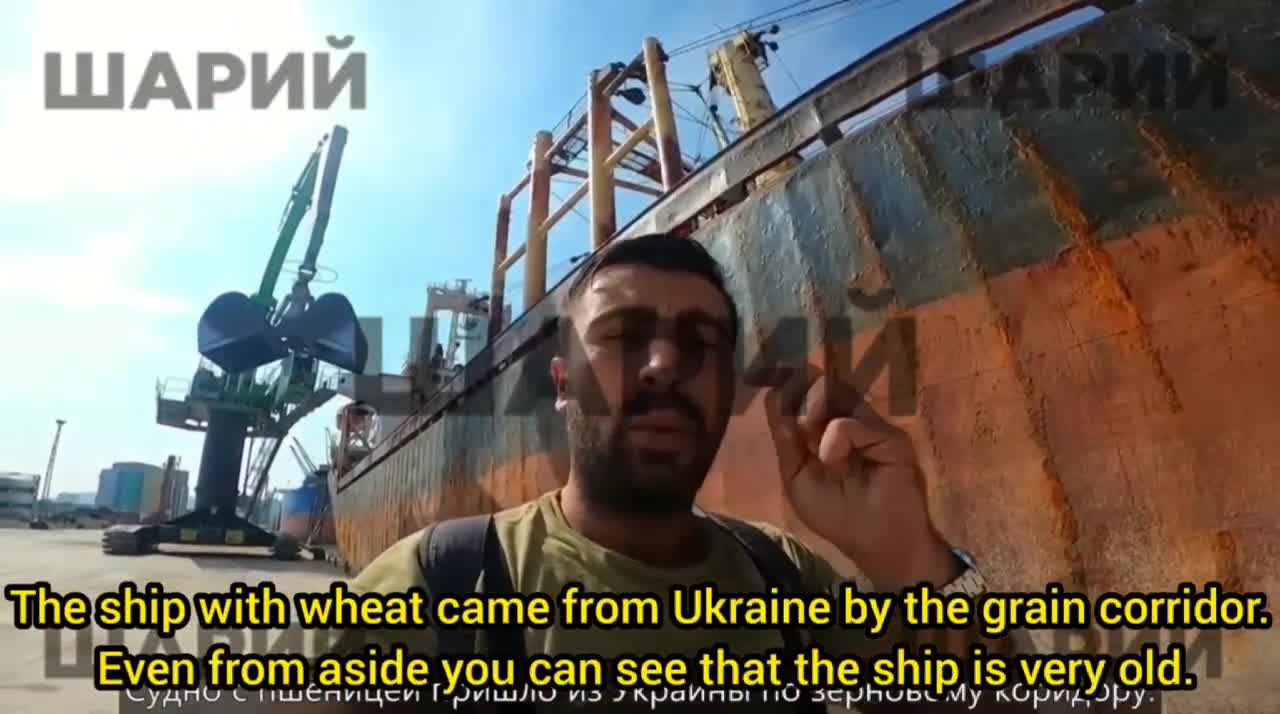 What is happening with the grain from Ukraine in the ports