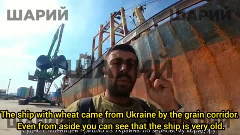 What is happening with the grain from Ukraine in the ports