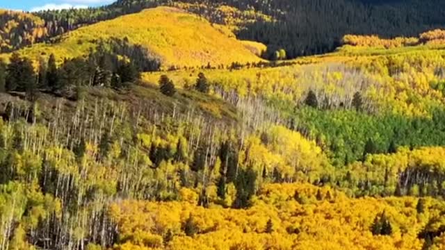 Fall in Colorado