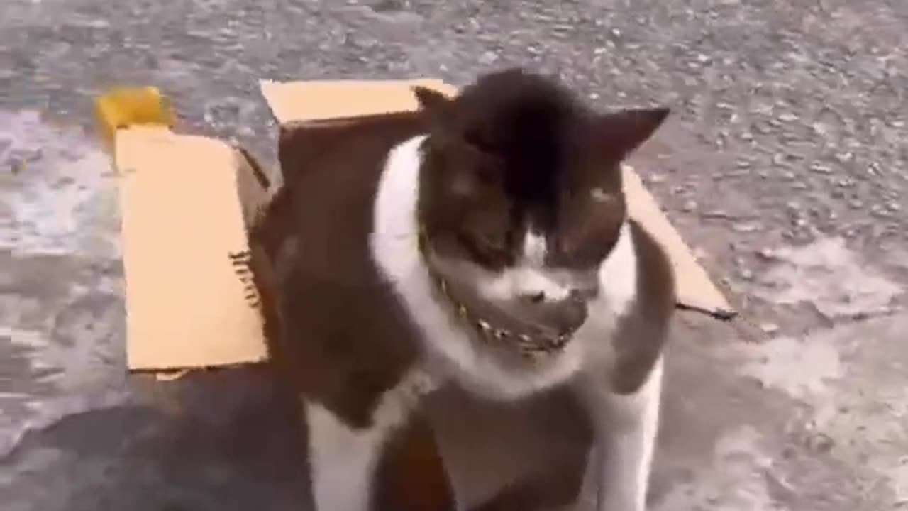 Me trying to fit in the Matrix