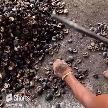 Cashew nuts making part -1
