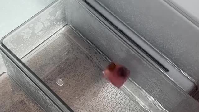 When u opened that freezer, I felt a cold breeze, and I'm in the Philippines