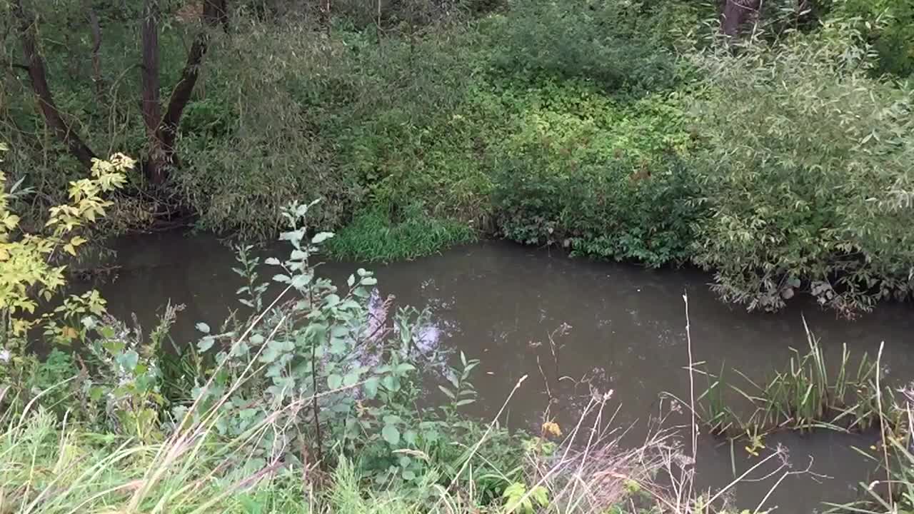 Firecracker in water