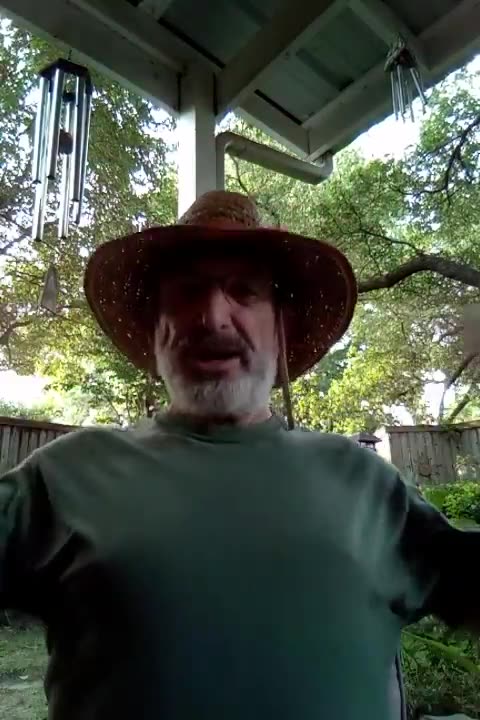 ACIM Lesson 288: "All Brothers are One."