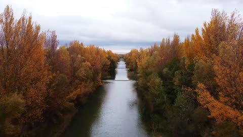 Mind relaxing nature