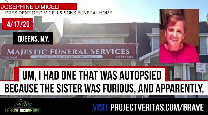 Covid Pandemic Numbers