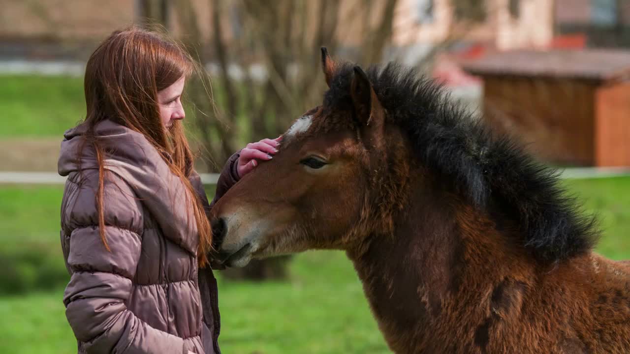 Woman petting young brown horse with black mane