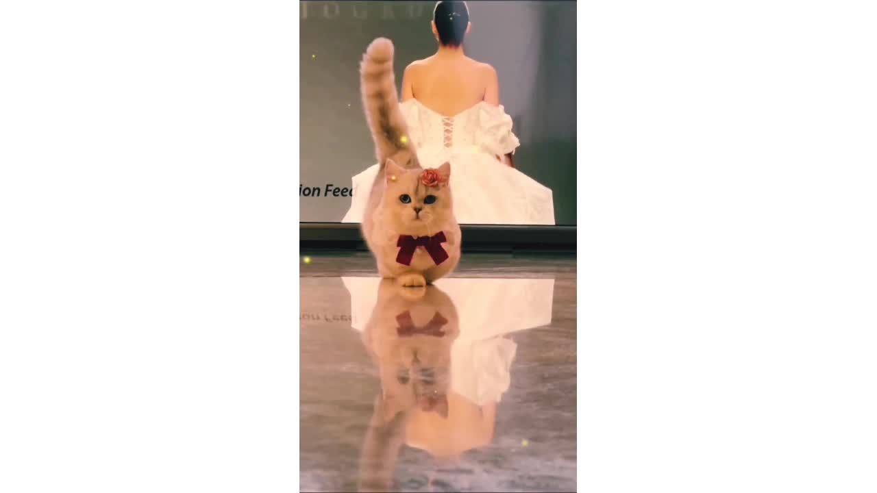 just a model ! such a cute cat