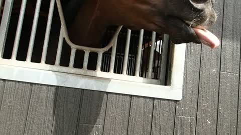 Saying Goodbye to Supi