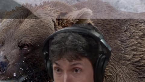Thoughts on bear meat