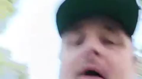 by crocky its a tree