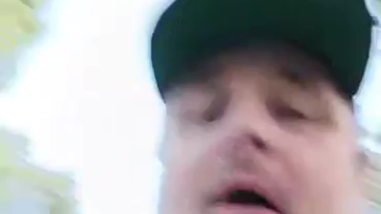 by crocky its a tree