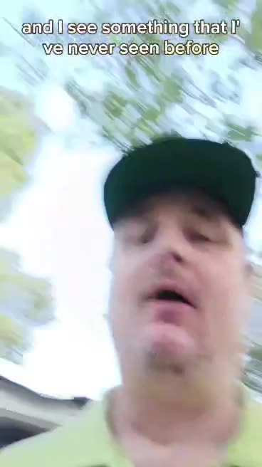 by crocky its a tree