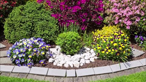 D&C Landscaping - (832) 669-4044