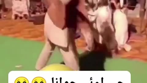 Village dance