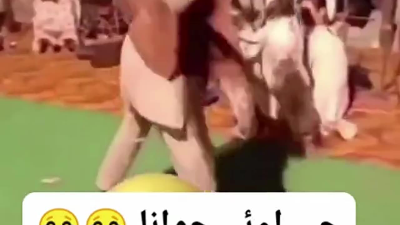 Village dance