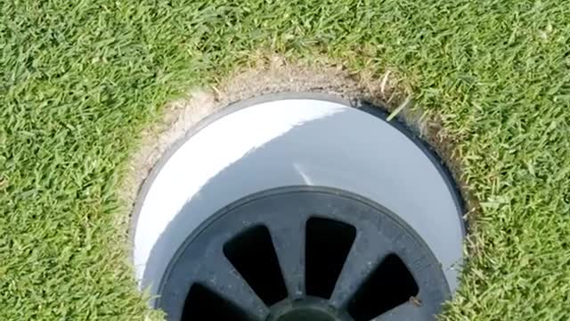 He Got A Hole In One