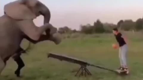 This is Why Best funny compilation is Going Viral
