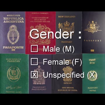 X GENDER