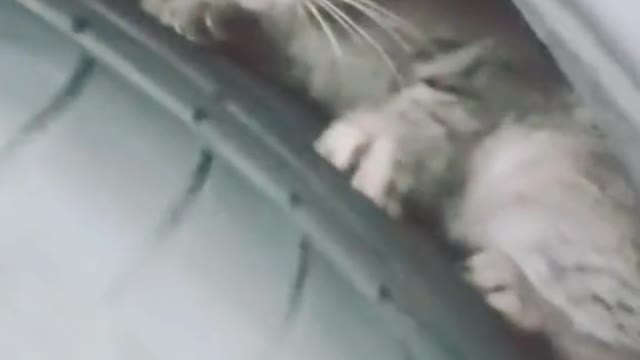 Important tips❣️👍🏻