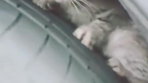 Important tips❣️👍🏻