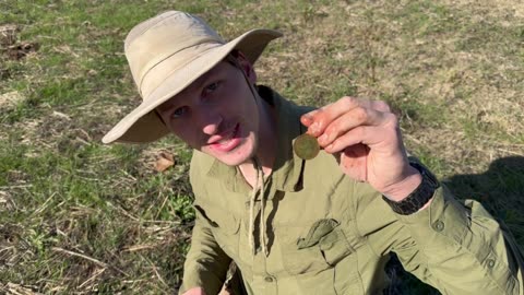 Penny In Situ Metal Detecting