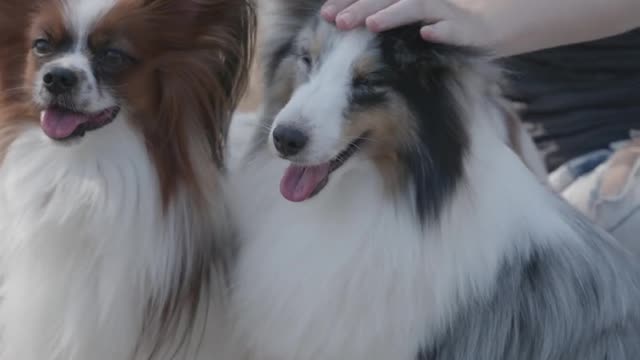 Cute baby and funny puppy 🐶