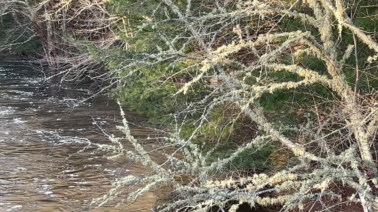 Mersey River As It Cross A Number Eight Highway In Annapolis County NS