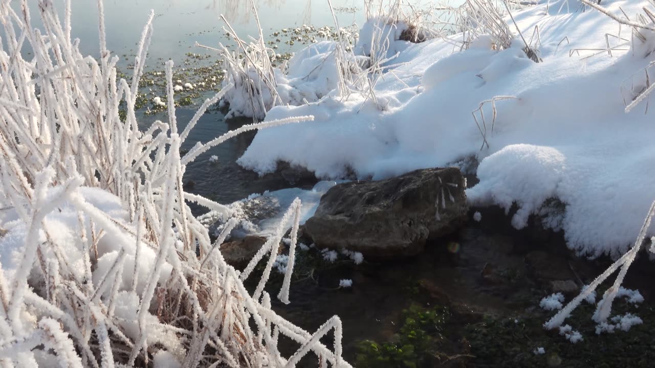 river #nature #river #shorts #short