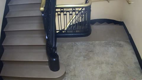 5189CHOB04Stair3_2021-01-06_20h40min03s467ms.mp4