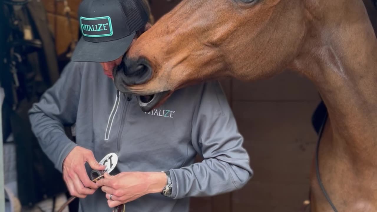 A Sweet Moment Between Horse and Human