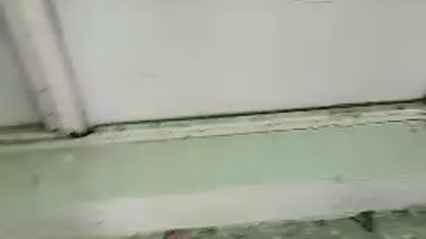 🤗🤗🤗🤗🤗🤗🤗🤗🤗🤗🤗🤗🤗🤗