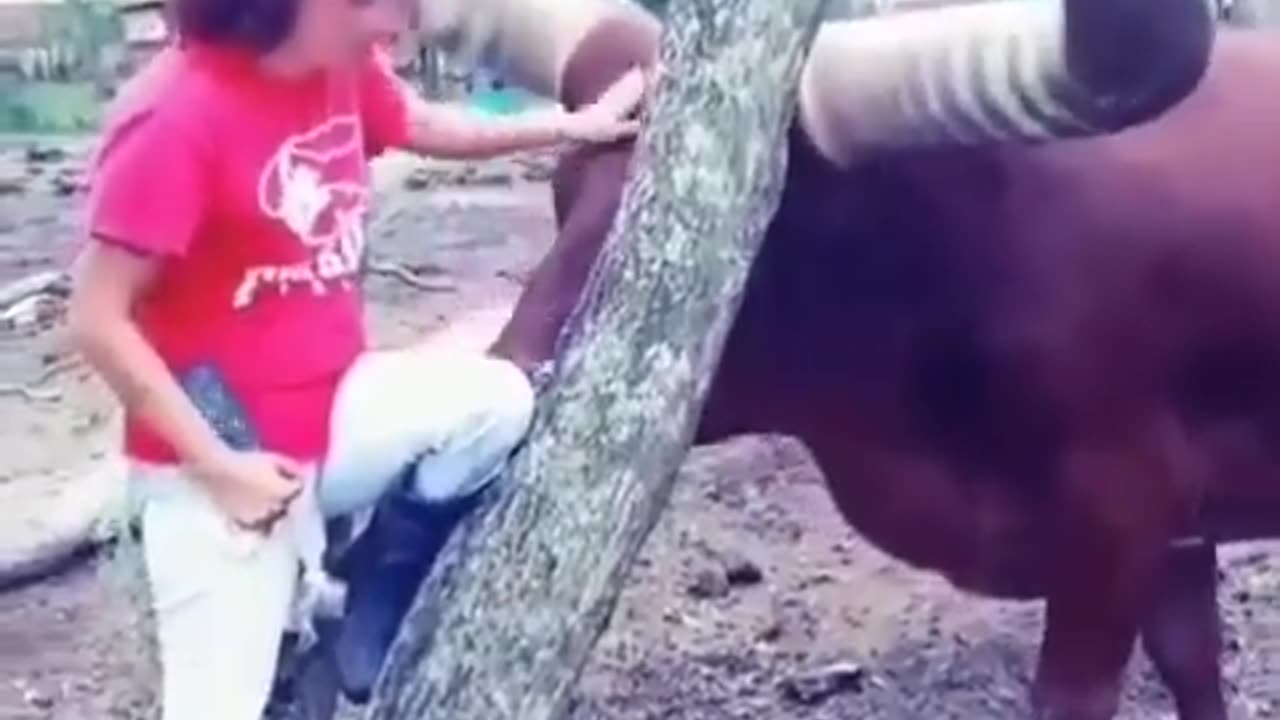 Would you pet one of these?😂