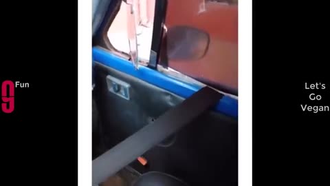 Try to not laughing 🤣 best funny video compliment 🤣🤣