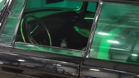Green Hornet